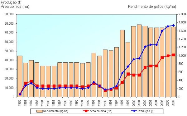 grafico