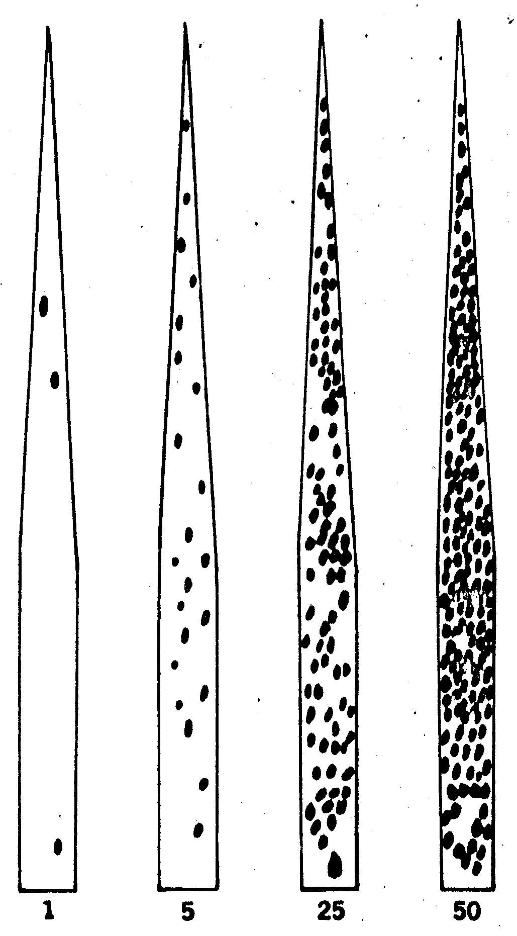 p_do14f19.jpg (169528 bytes)