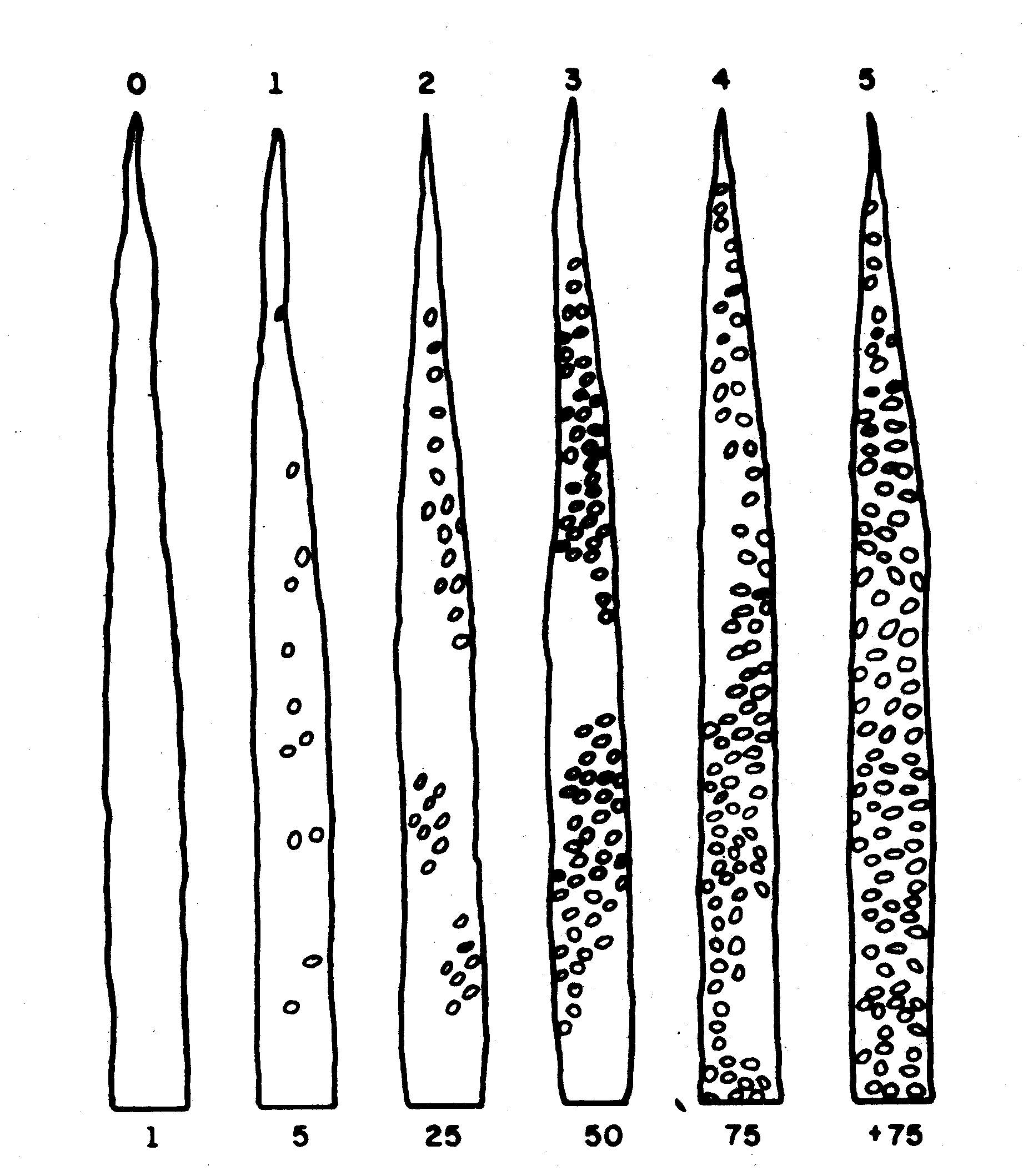 p_do14f20.jpg (169528 bytes)