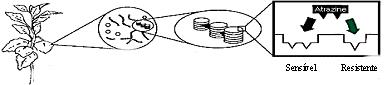p_do58f1.JPG (9101 bytes)
